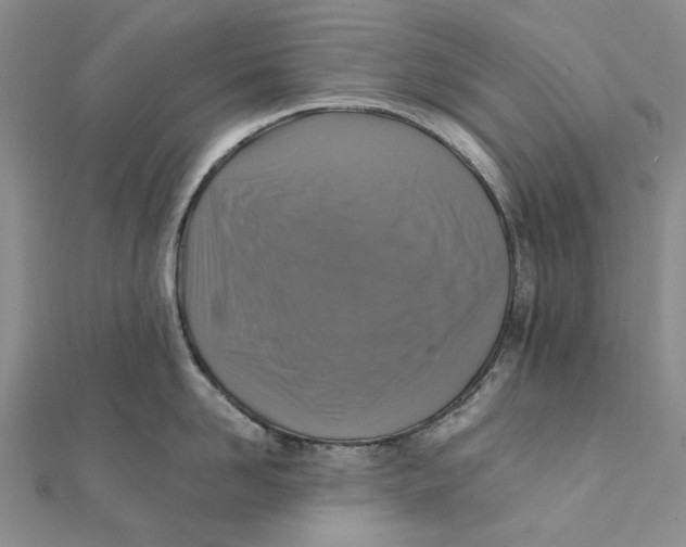 X0000111360958200908071151