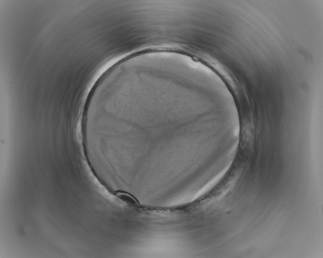 X0000111360959200908071151