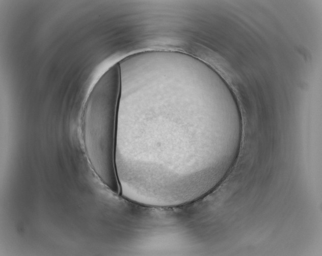 X0000111360960200908071151