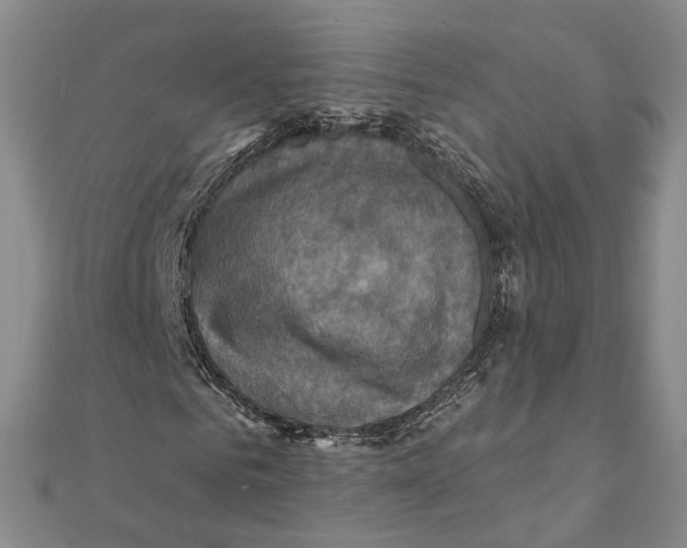 X0000111360961200908071150