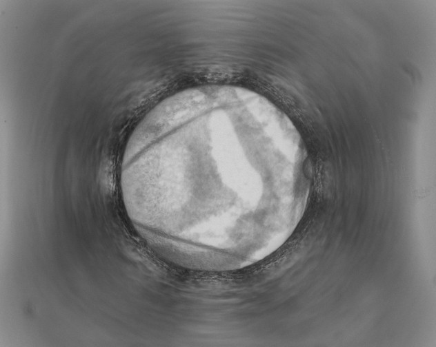 X0000111360962200908071150