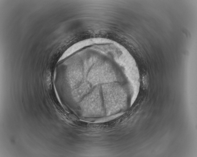 X0000111360963200908071150