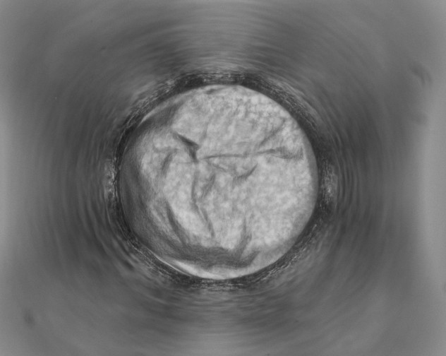 X0000111360964200908071150