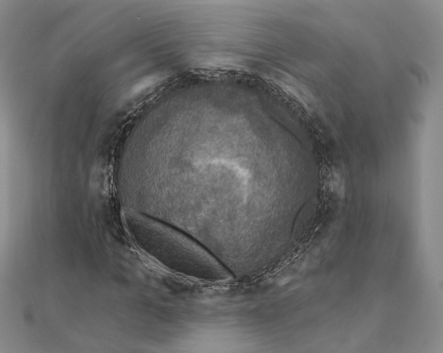 X0000111360965200908071150