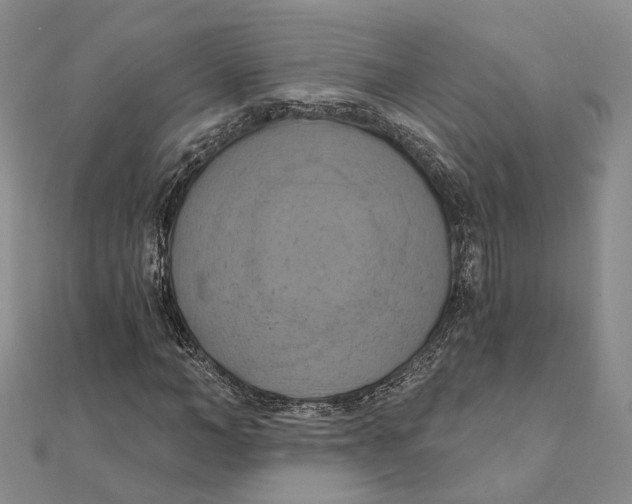 X0000111360966200908071150