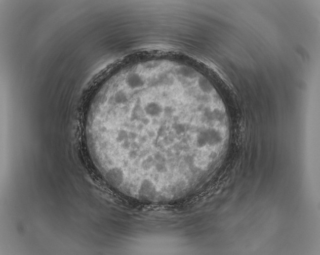 X0000111360967200908071150