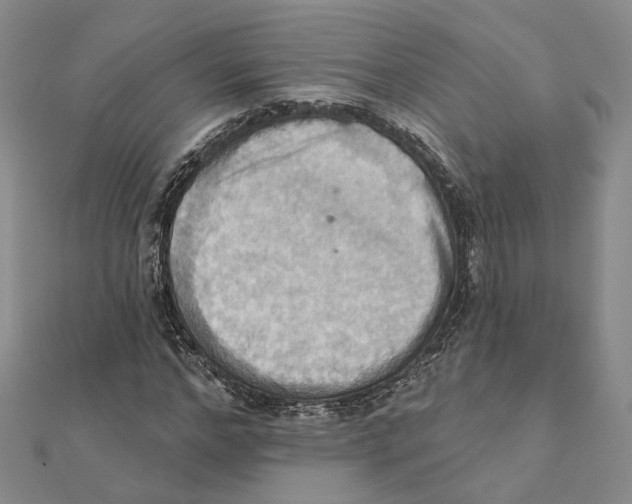 X0000111360968200908071150