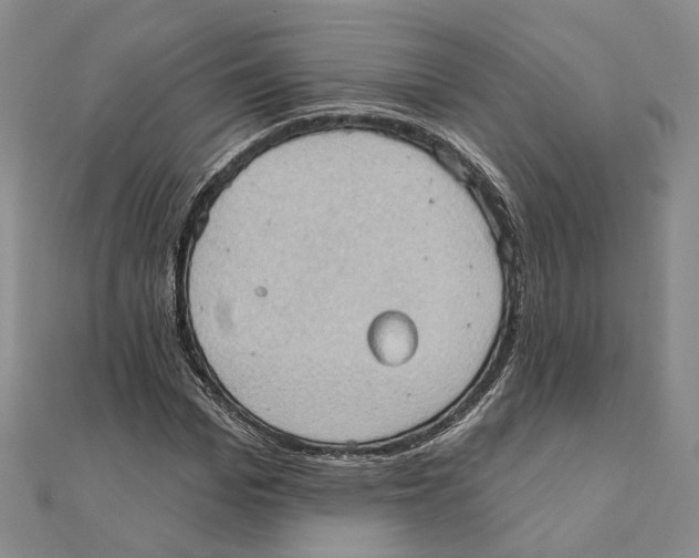 X0000111360969200908071150