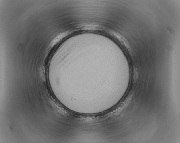 X0000111360970200908071150