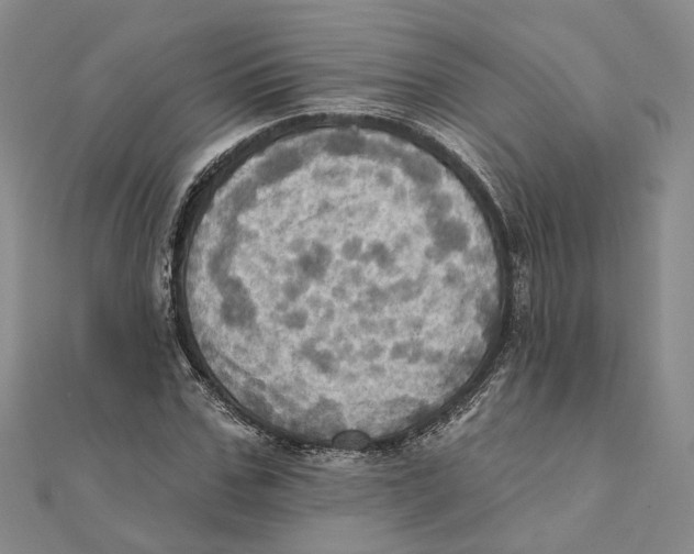 X0000111360971200908071150