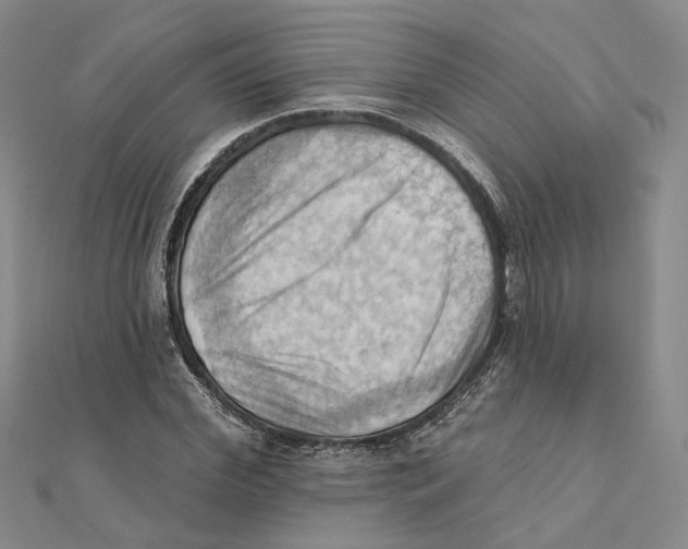 X0000111360972200908071150