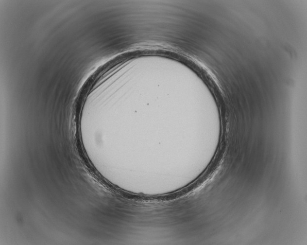 X0000111360973200908071150