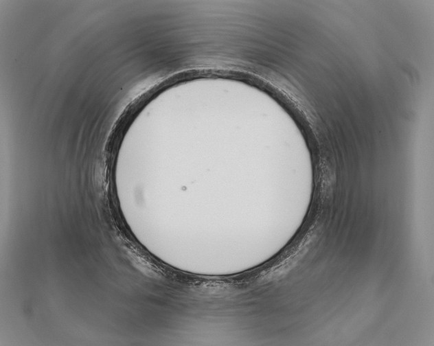 X0000111360974200908071150