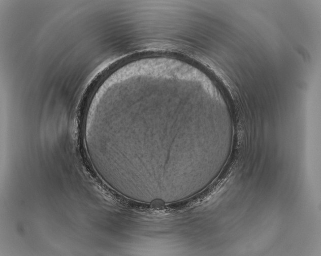 X0000111360975200908071150