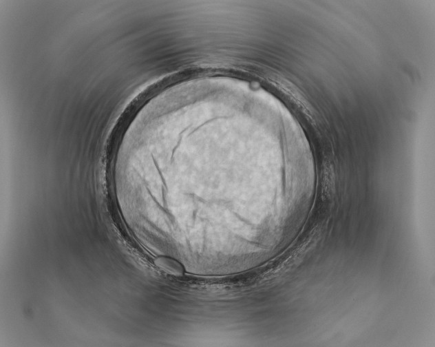 X0000111360976200908071150