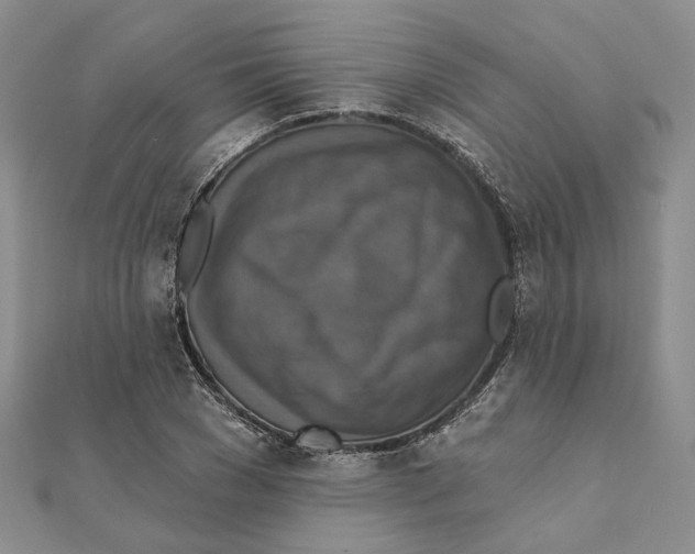 X0000111360977200908071150