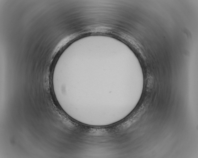 X0000111360978200908071150