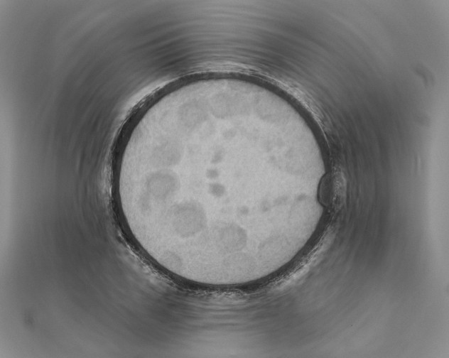 X0000111360979200908071150