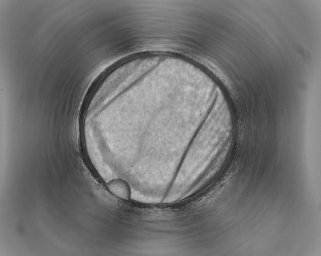 X0000111360980200908071150