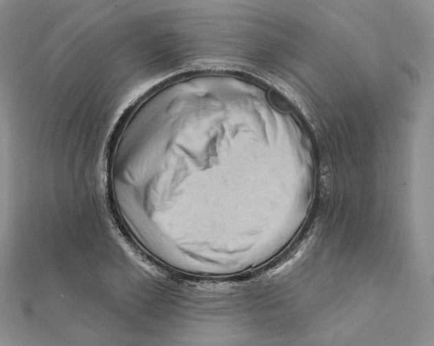 X0000111360981200908071150