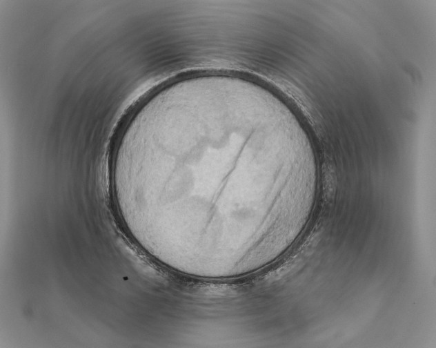 X0000111360982200908071150