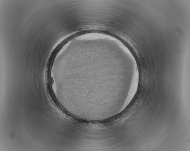 X0000111360983200908071149