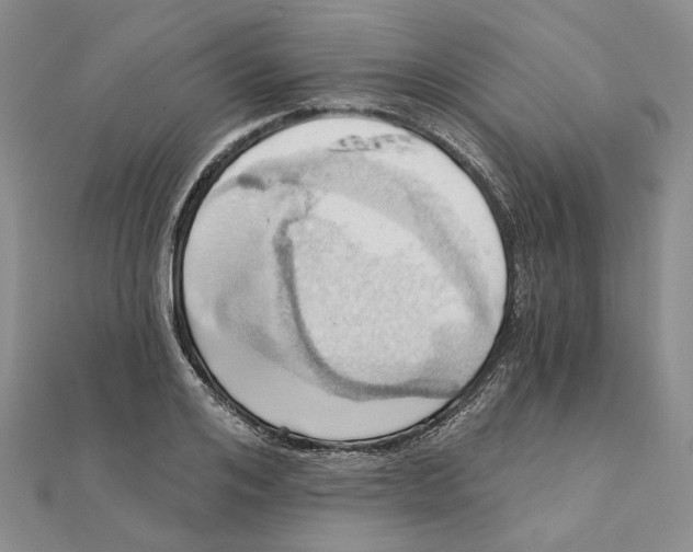 X0000111360984200908071149