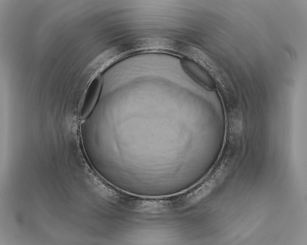 X0000111360985200908071149