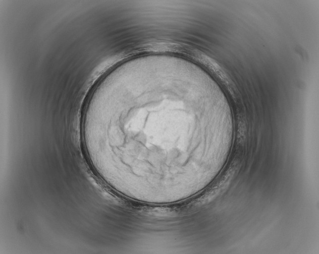 X0000111360986200908071149