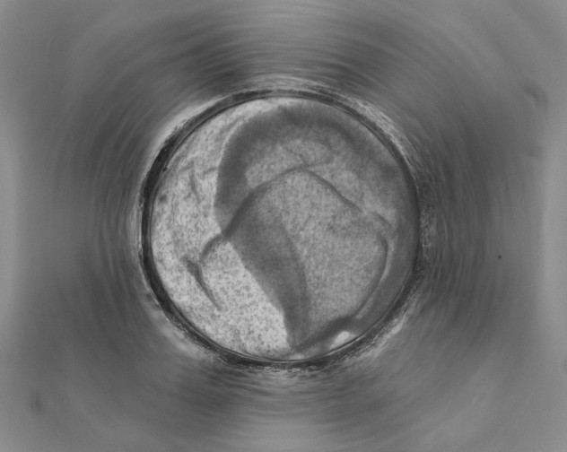 X0000111360987200908071149