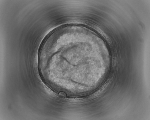 X0000111360988200908071149