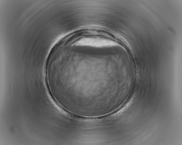 X0000111360989200908071149