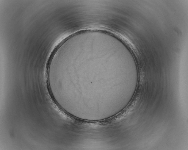 X0000111360990200908071149