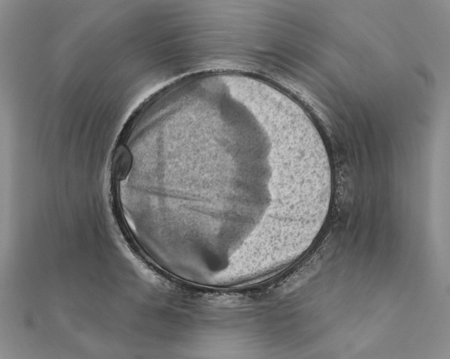 X0000111360991200908071149