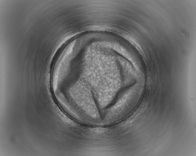 X0000111360992200908071149