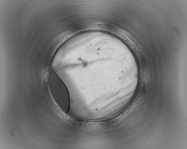 X0000111360993200908071149