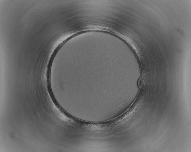 X0000111360995200908071149