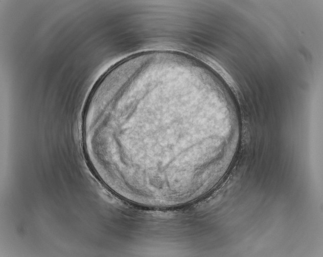 X0000111360996200908071149