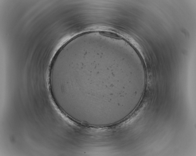 X0000111360997200908071149