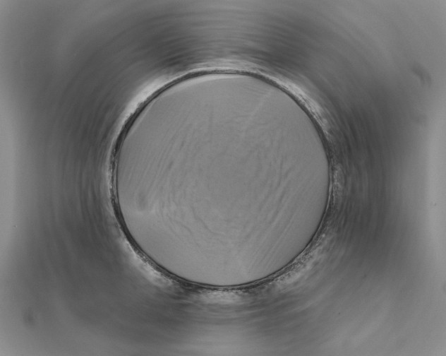 X0000111360998200908071149