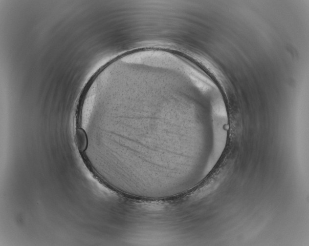 X0000111360999200908071149