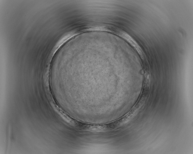 X0000111361002200908071149