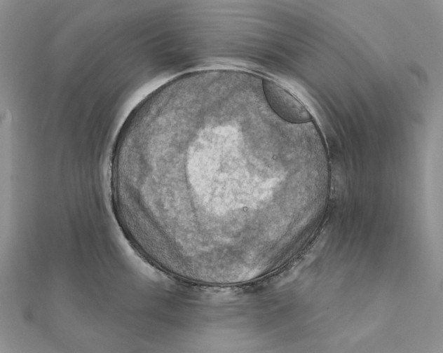 X0000111361003200908071149