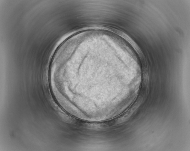 X0000111361004200908071149