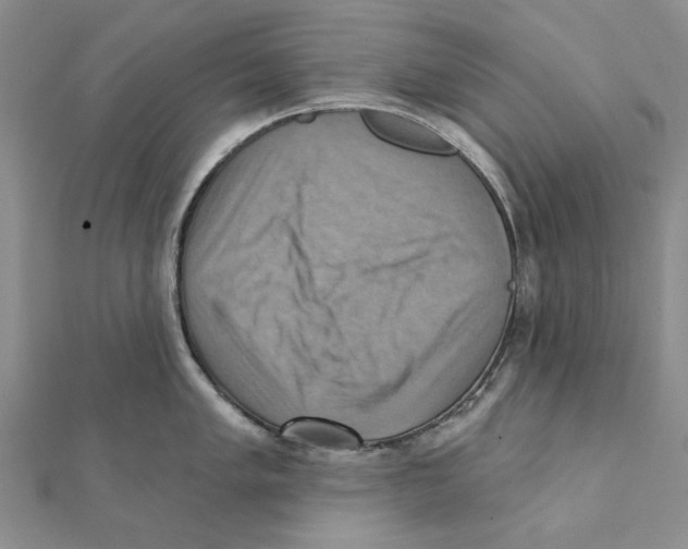 X0000111361005200908071149