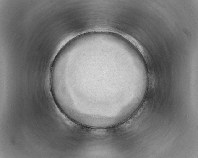 X0000111361006200908071149