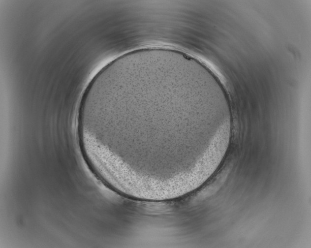 X0000111361007200908071149