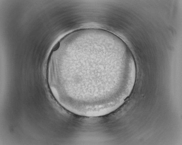 X0000111361008200908071149