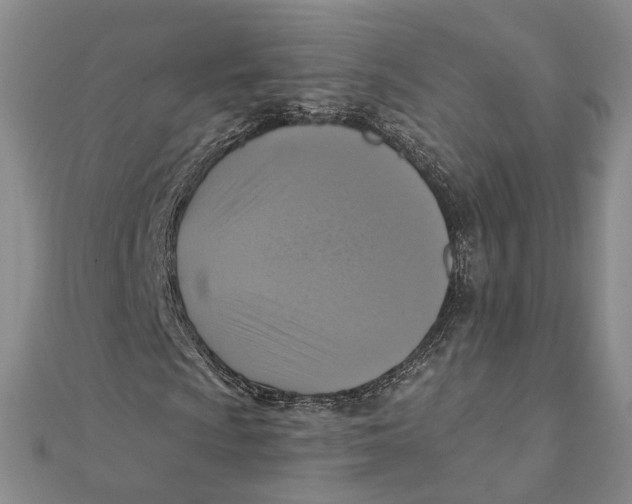 X0000111361009200908071149