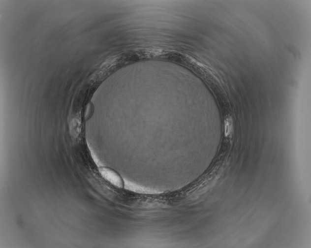 X0000111361011200908071149